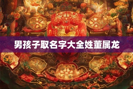 男孩子取名字大全姓董属龙