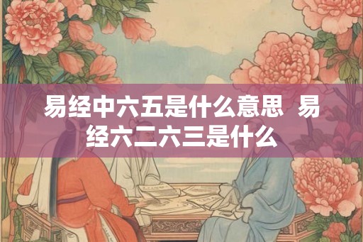 易经中六五是什么意思 易经六二六三是什么 易经中六五是什么意思 易经六二六三是什么