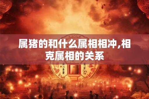 属猪的和什么属相相冲,相克属相的关系