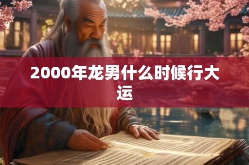 2000年龙男什么时候行大运