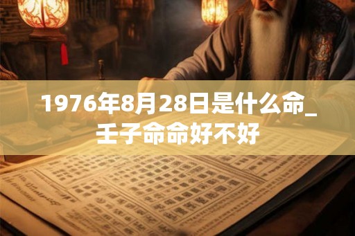1976年8月28日是什么命_壬子命命好不好