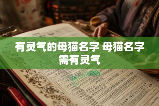 有灵气的母猫名字 母猫名字需有灵气
