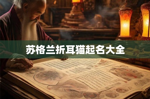 苏格兰折耳猫起名大全