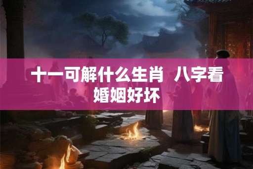 十一可解什么生肖  八字看婚姻好坏