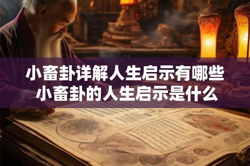 小畜卦详解人生启示有哪些 小畜卦的人生启示是什么
