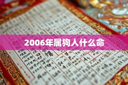 2006年属狗人什么命