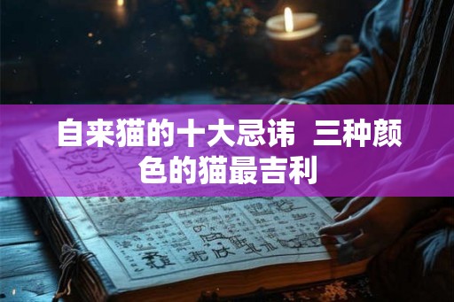 自来猫的十大忌讳  三种颜色的猫最吉利