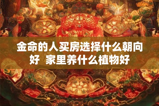 金命的人买房选择什么朝向好  家里养什么植物好