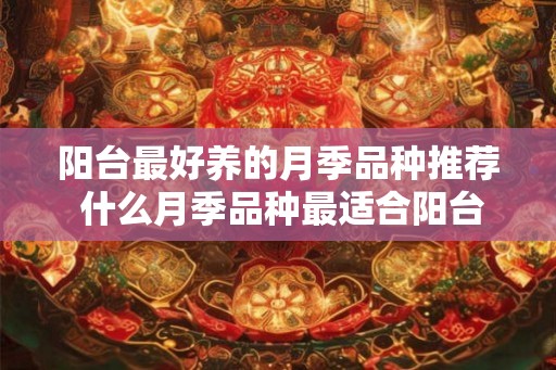阳台最好养的月季品种推荐 什么月季品种最适合阳台种植