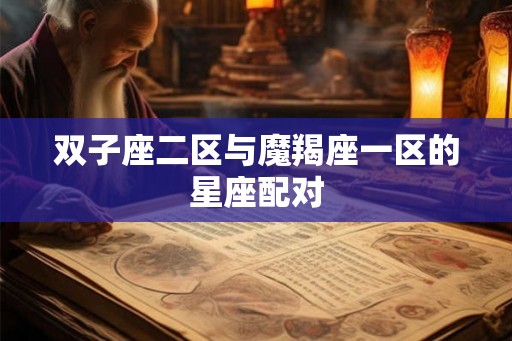 双子座二区与魔羯座一区的星座配对