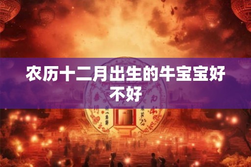 农历十二月出生的牛宝宝好不好