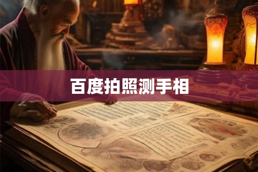 百度拍照测手相