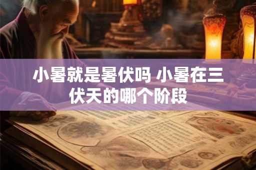 小暑就是暑伏吗 小暑在三伏天的哪个阶段