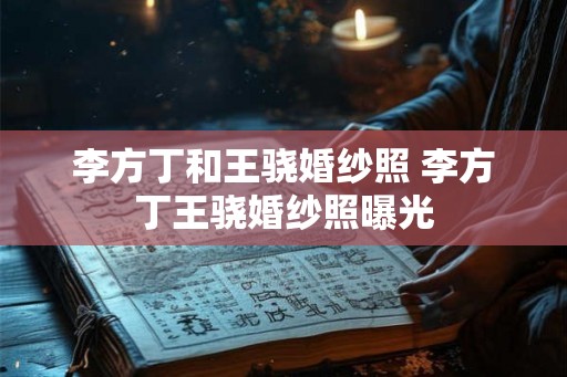 李方丁和王骁婚纱照 李方丁王骁婚纱照曝光