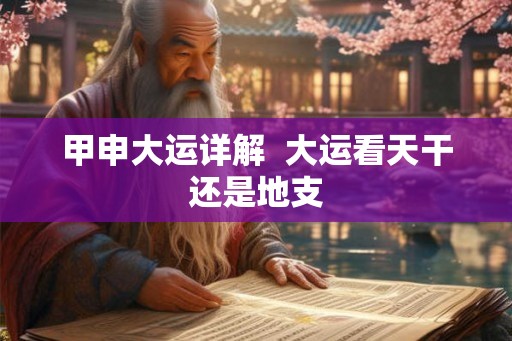 甲申大运详解  大运看天干还是地支