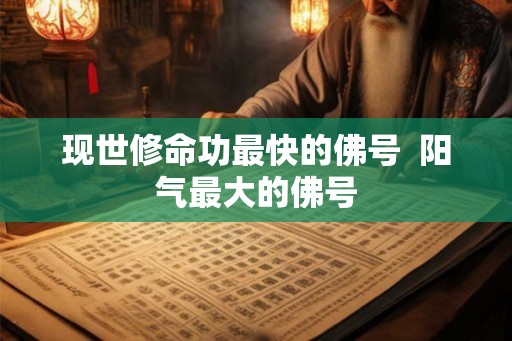 现世修命功最快的佛号  阳气最大的佛号
