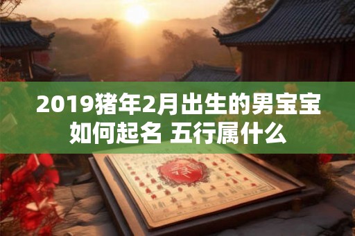 2019猪年2月出生的男宝宝如何起名 五行属什么