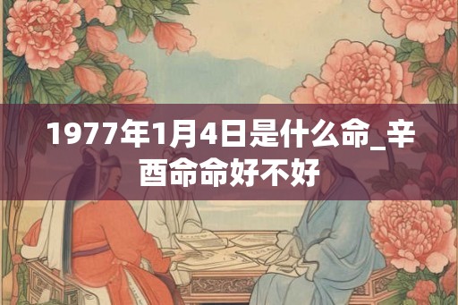 1977年1月4日是什么命_辛酉命命好不好