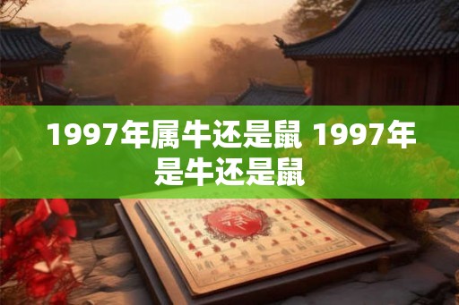 1997年属牛还是鼠 1997年是牛还是鼠 1997年属牛还是鼠 1997年是牛还是鼠