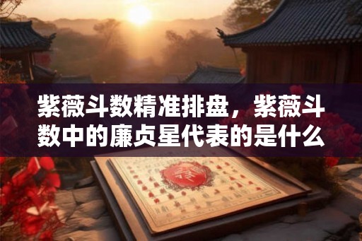 紫薇斗数精准排盘，紫薇斗数中的廉贞星代表的是什么？