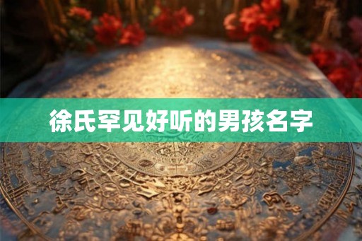 徐氏罕见好听的男孩名字