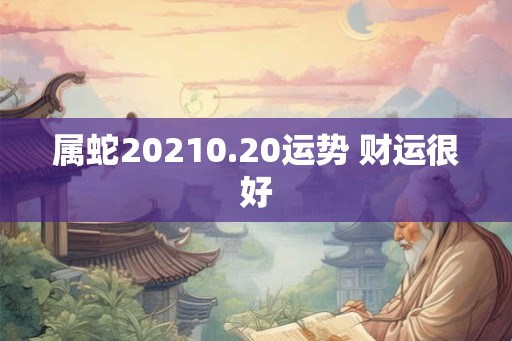 属蛇20210.20运势 财运很好