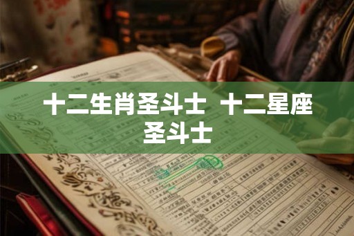 十二生肖圣斗士  十二星座圣斗士