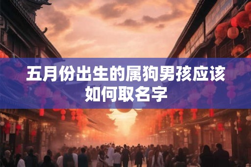 五月份出生的属狗男孩应该如何取名字
