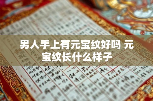 男人手上有元宝纹好吗 元宝纹长什么样子 男人手上有元宝纹好吗 元宝纹长什么样子