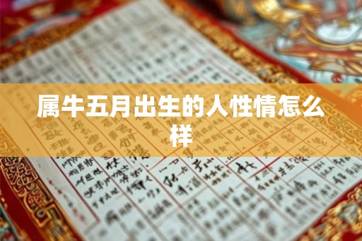 属牛五月出生的人性情怎么样