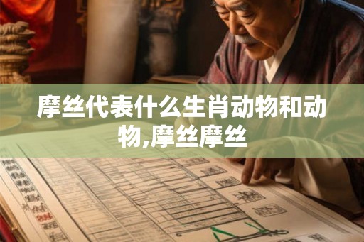 摩丝代表什么生肖动物和动物,摩丝摩丝