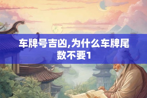 车牌号吉凶,为什么车牌尾数不要1 车牌号吉凶,为什么车牌尾数不要1