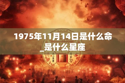 1975年11月14日是什么命_是什么星座