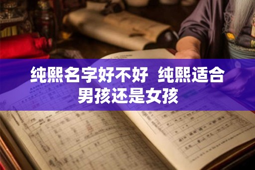 纯熙名字好不好  纯熙适合男孩还是女孩