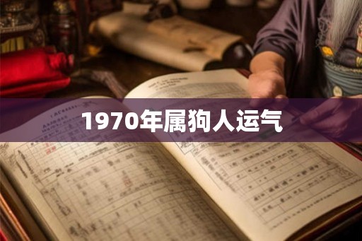 1970年属狗人运气