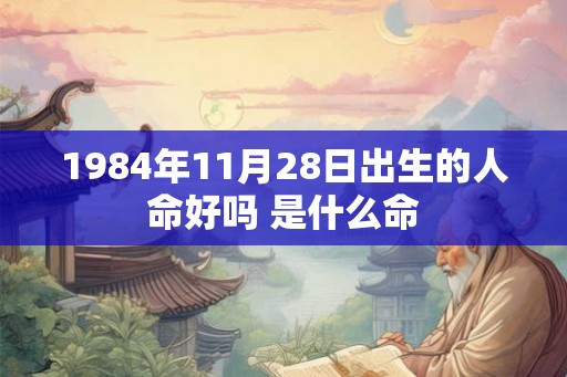 1984年11月28日出生的人命好吗 是什么命
