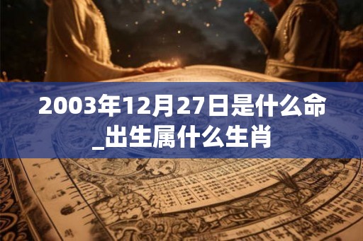 2003年12月27日是什么命_出生属什么生肖