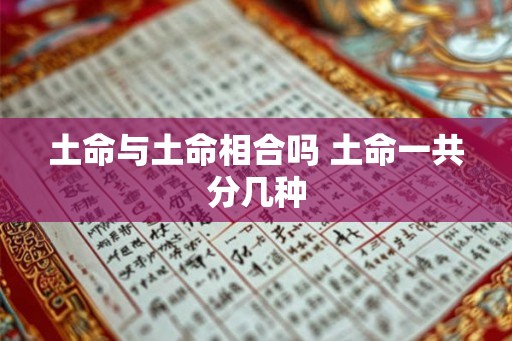土命与土命相合吗 土命一共分几种