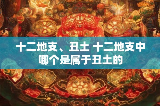 十二地支、丑土 十二地支中哪个是属于丑土的