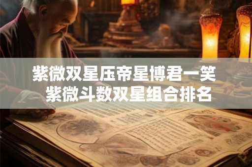 紫微双星压帝星博君一笑  紫微斗数双星组合排名