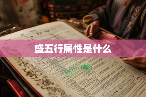 盛五行属性是什么