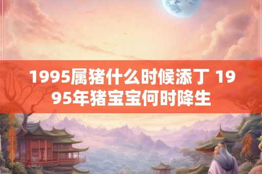 1995属猪什么时候添丁 1995年猪宝宝何时降生