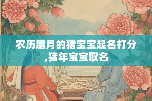 农历腊月的猪宝宝起名打分,猪年宝宝取名