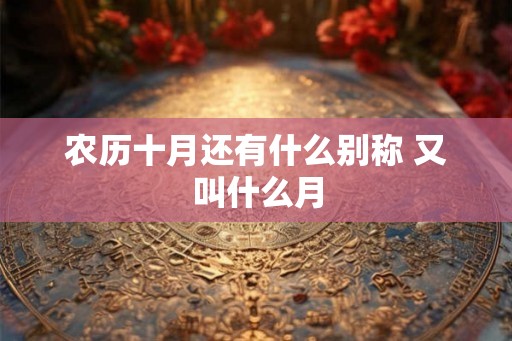 农历十月还有什么别称 又叫什么月