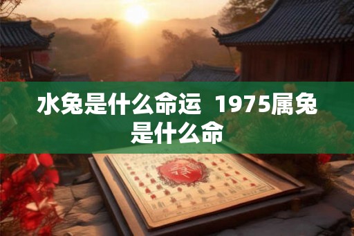 水兔是什么命运  1975属兔是什么命