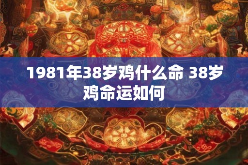 1981年38岁鸡什么命 38岁鸡命运如何