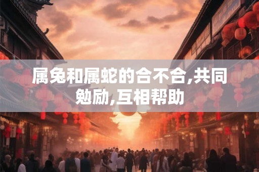 属兔和属蛇的合不合,共同勉励,互相帮助