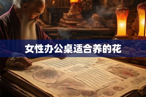 女性办公桌适合养的花