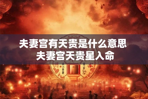 夫妻宫有天贵是什么意思  夫妻宫天贵星入命