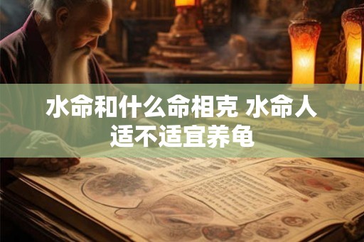 水命和什么命相克 水命人适不适宜养龟